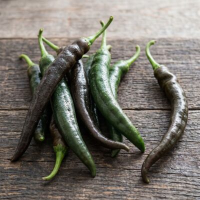 Chiles chilacas frescos cultivados en España — chile pasilla fresco