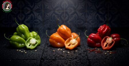 Chile habanero mexicano fresco en verde, naranja y rojo cultivado en Valencia