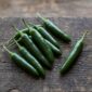 Chiles serranos frescos mexicanos cultivados en España — chile verde alargado