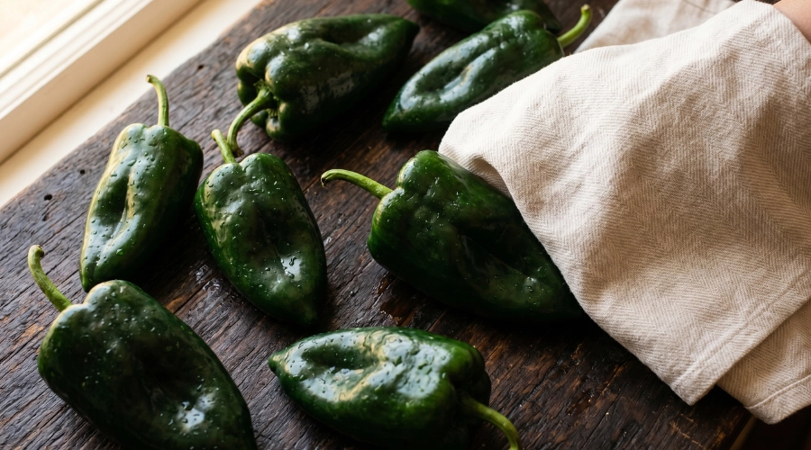Chiles poblanos lavados y secos listos para cocinar