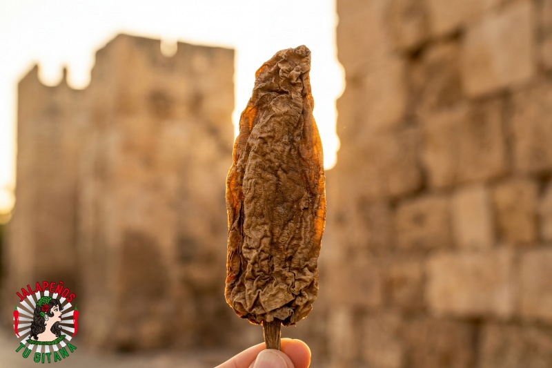 Chile chipotle meco seco en primer plano con la muralla árabe de Valencia al fondo