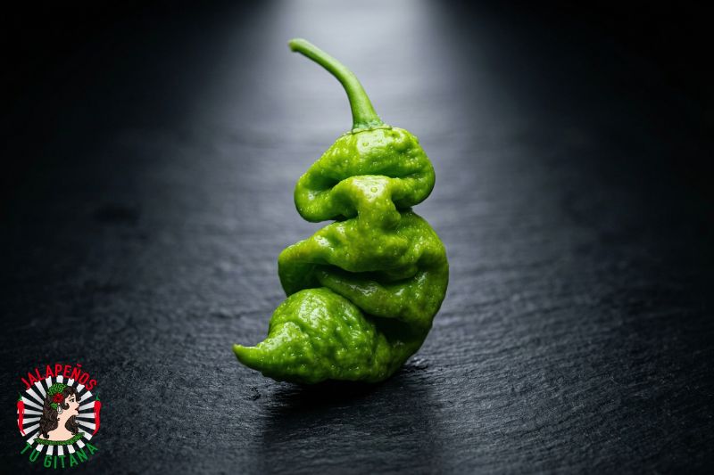 Hulk Reaper - variedad exclusiva de chile superpicante creada en Valencia