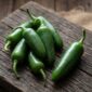 Jalapeños frescos mexicanos cultivados en España — chile cuaresmeño verde