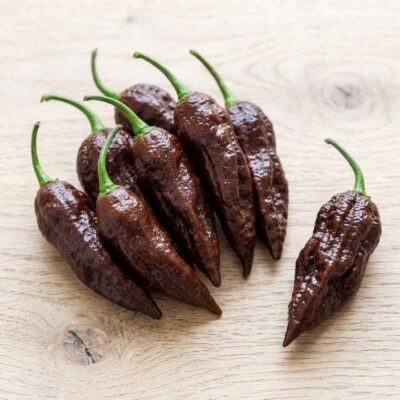 Naga Jolokia Chocolate fresco cultivado en España — Ghost Pepper marrón oscuro