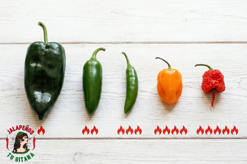 Chiles frescos ordenados por nivel de picor con escala de intensidad