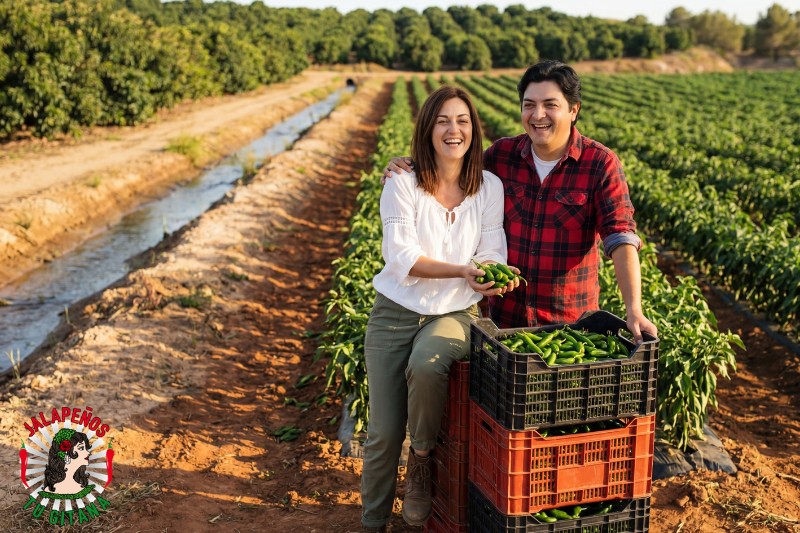 Pareja de agricultores con cosecha de chiles serranos en campo valenciano