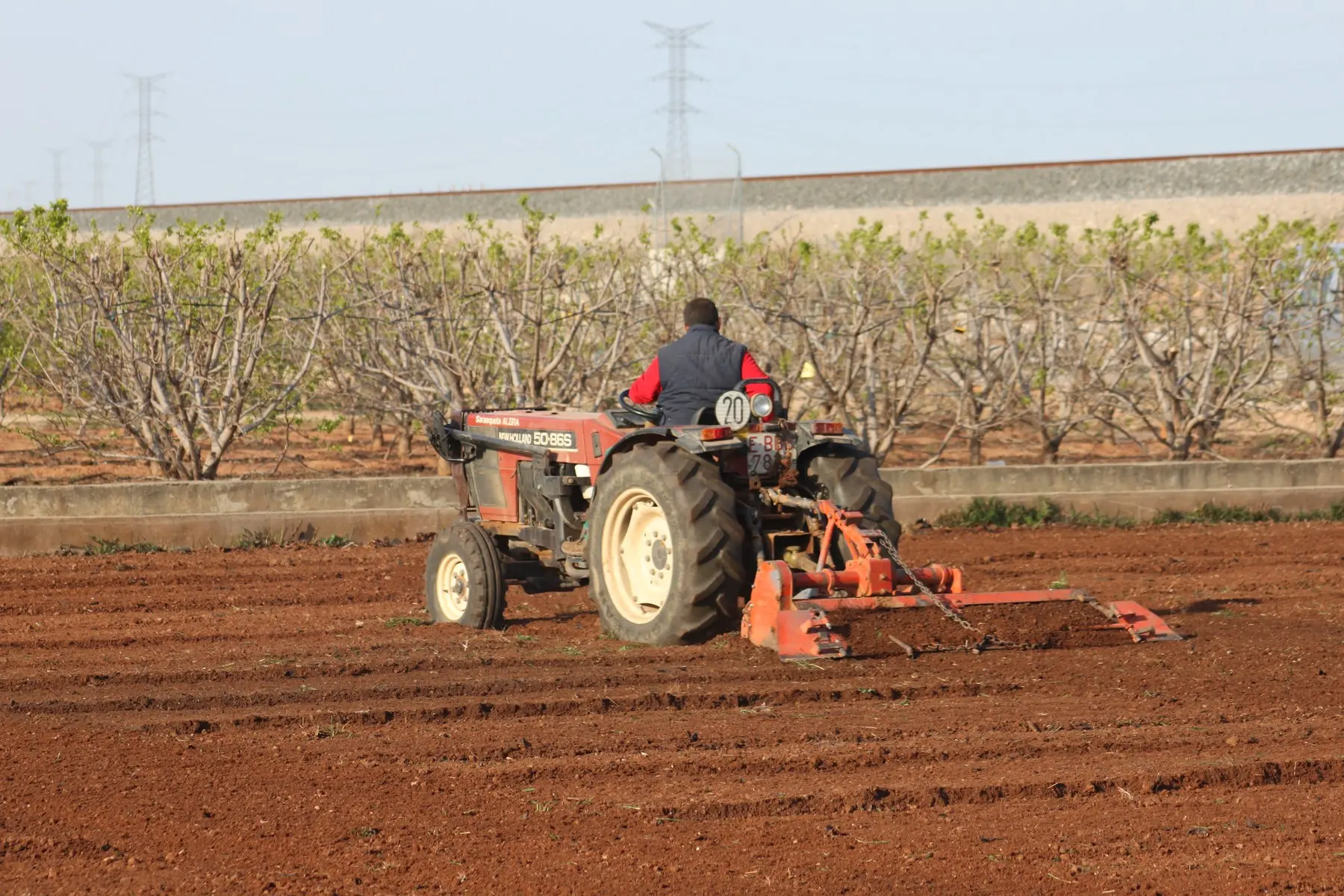 Tractor con rotovátor dejando la tierra mullida para el trasplante de chiles mexicanos en Valencia