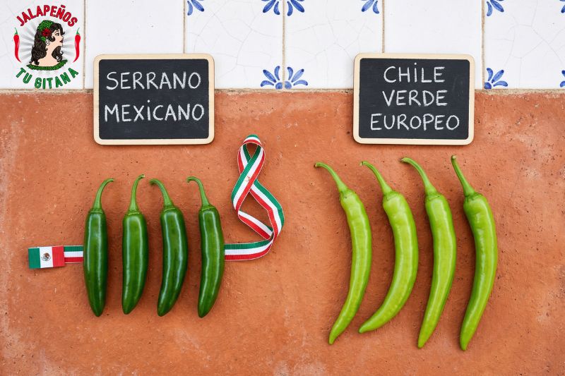 Comparación entre chile serrano mexicano auténtico y chile verde europeo
